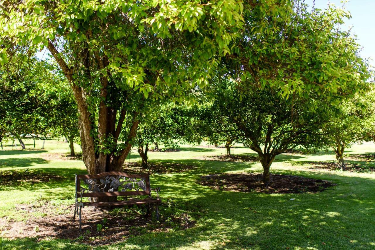 Fairlawn Estate Vendégház Busselton Kültér fotó