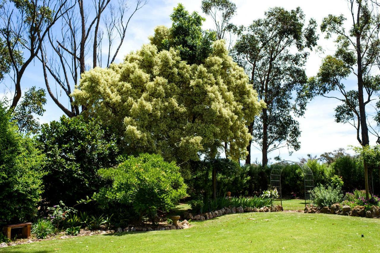 Fairlawn Estate Vendégház Busselton Kültér fotó